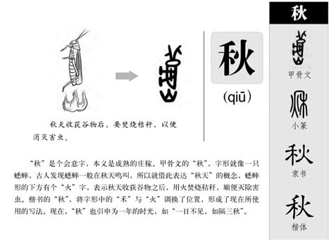 秋字五行|秋字的五行属性